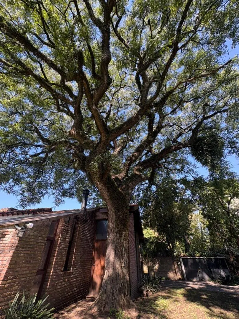 Casa a la venta en Don Torcuato 5
