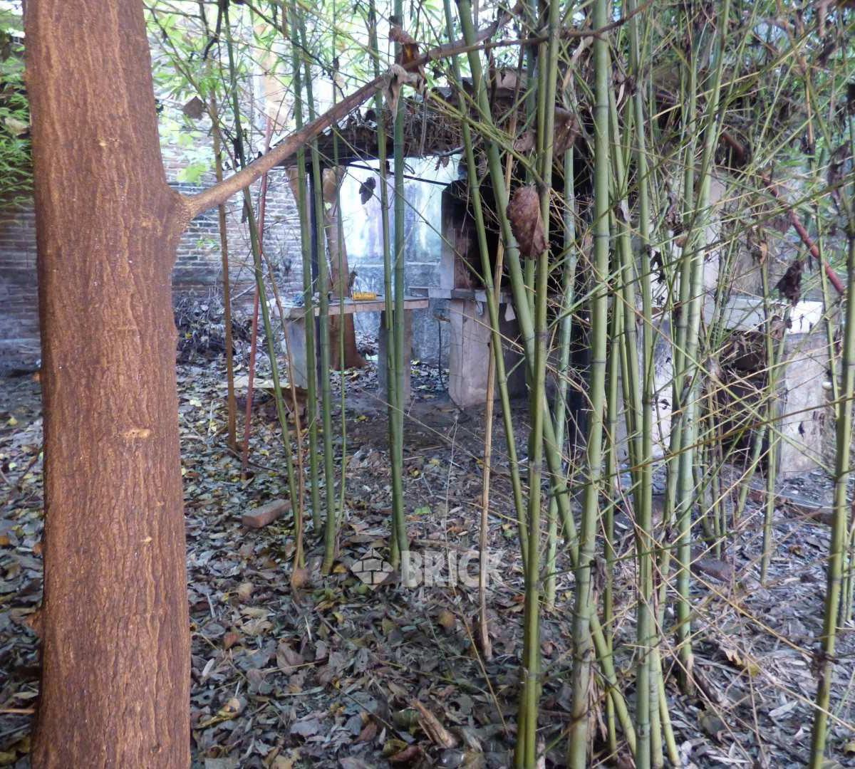 Lote de 8.66x35.68 m en Barros Pazos Al 5900 - 309 m² de Superficie 2