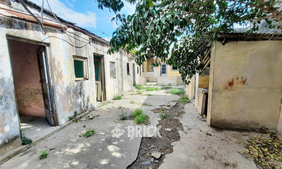 (Venta en Block) 2 PH S/exp en Lote de 8.66x36 en Erezcano Al 2300 - 310 m² de Lote 5