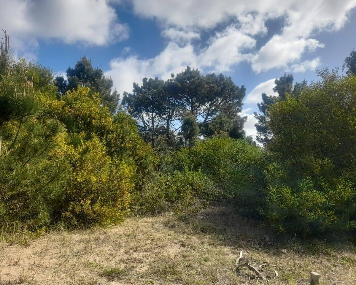 Calle 27 (Av Almte. Brown) Lotes 4 y 5 - 2000 m² Totales 3