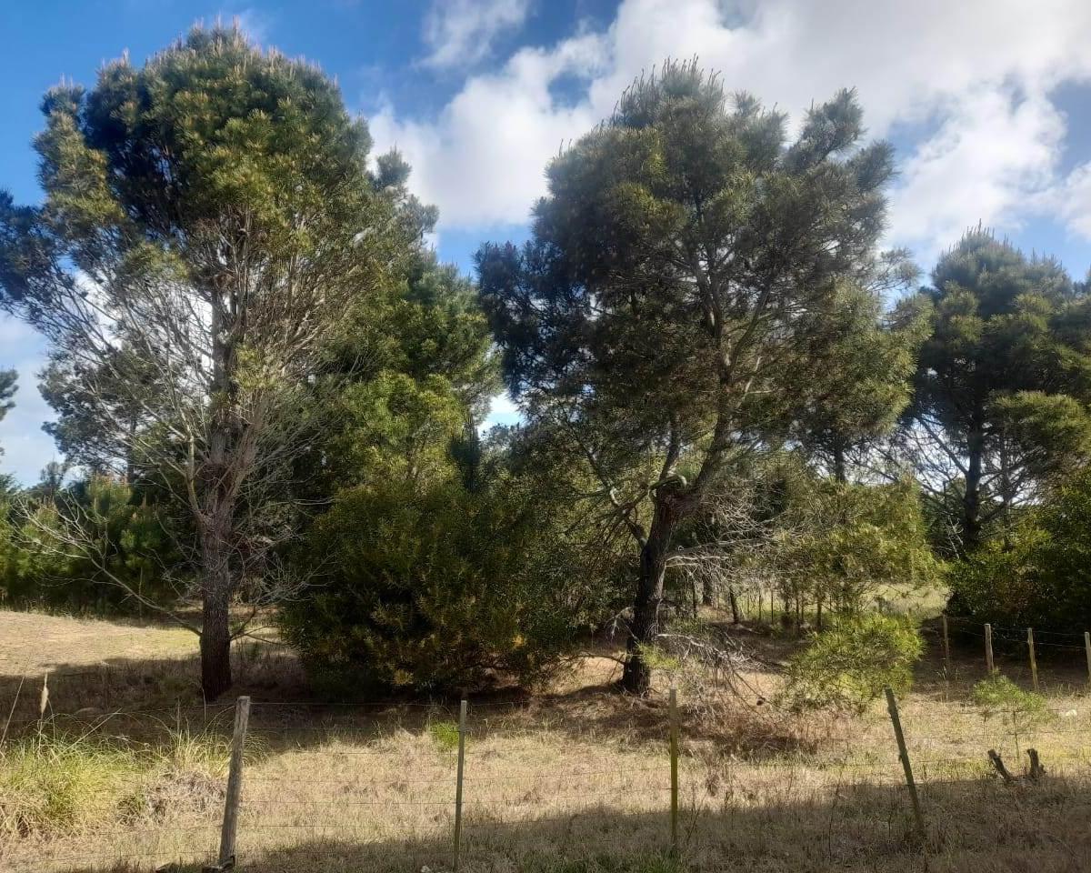 Calle 27 (Av Almte. Brown) Lotes 4 y 5 - 2000 m² Totales 4