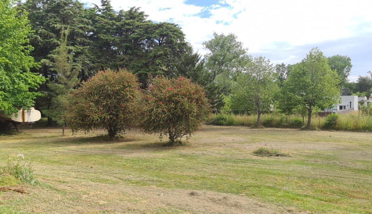 Terreno Comercial en Open Door 2