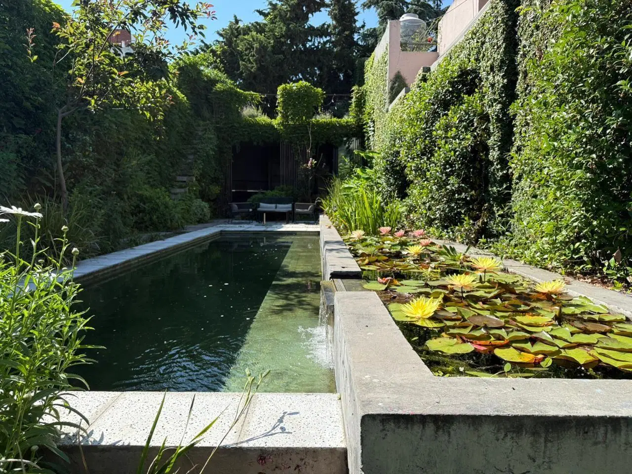 Espectacular casa de diseño con gran fondo 2