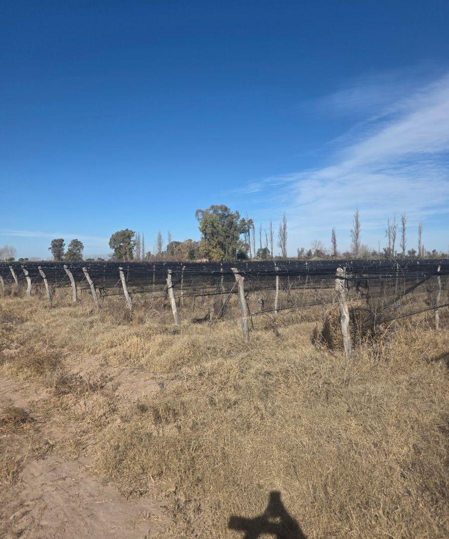 Se vende finca en tres porteñas