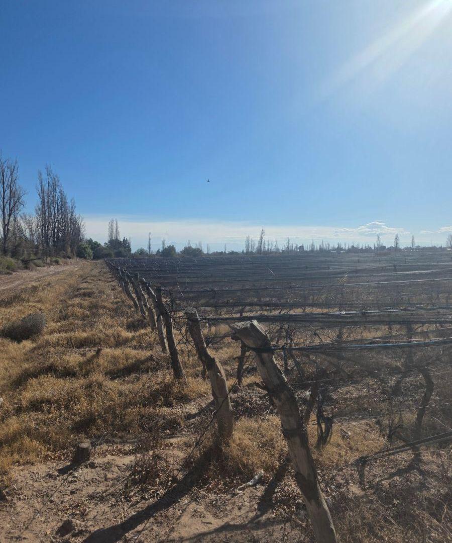Foto de Se vende finca en tres porteñas, imagen 5