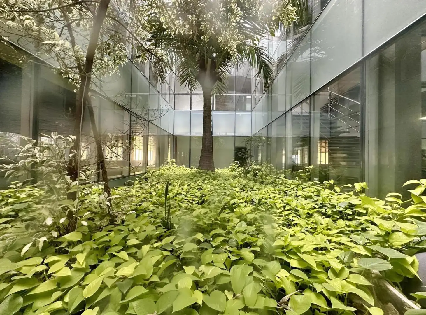 Oficinas en alquiler | Córdoba y Haití | 1.970 m² en dos pisos. 5
