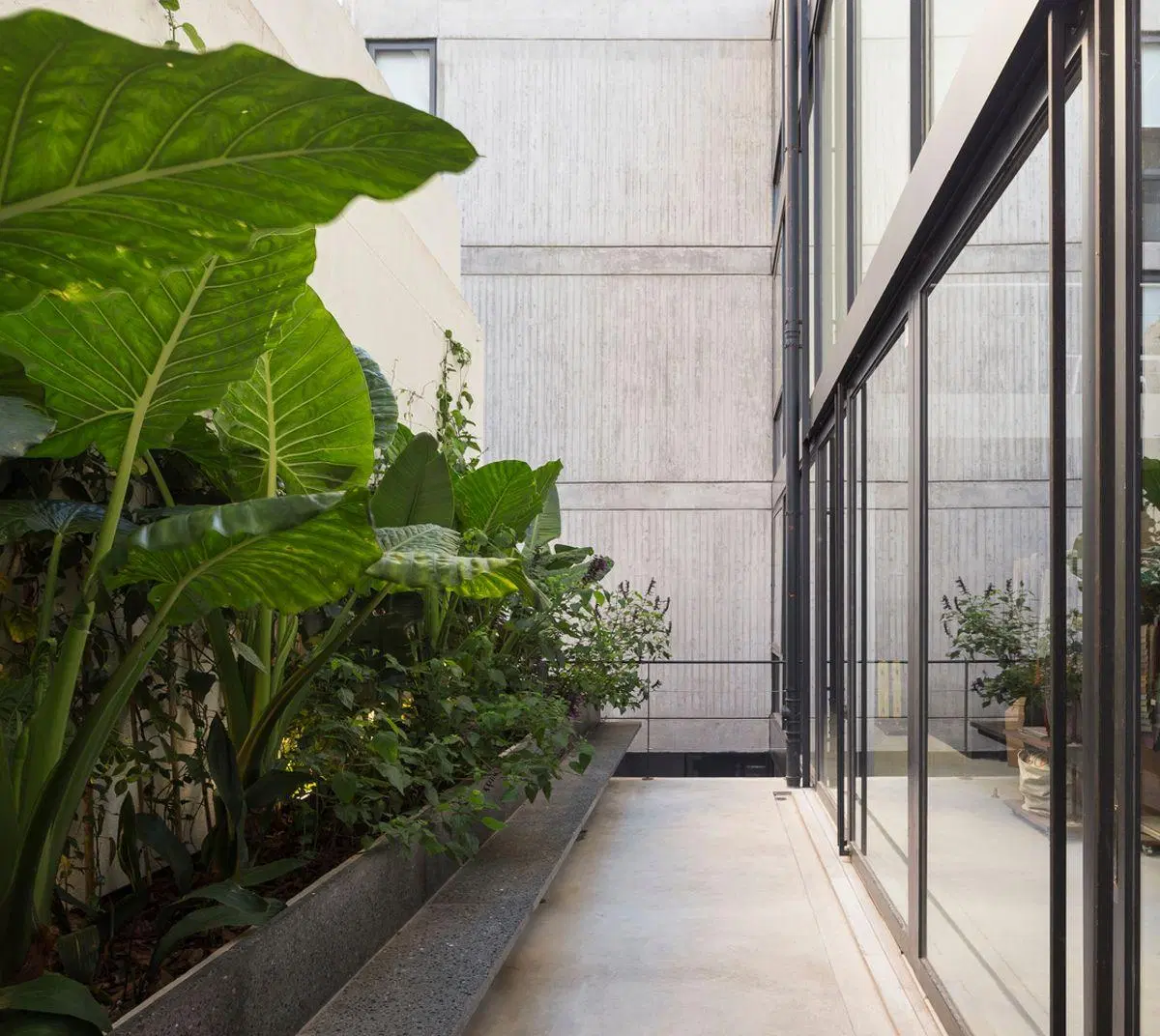 Edificio corporativo de diseño en Palermo Soho | 1.470 m² 3