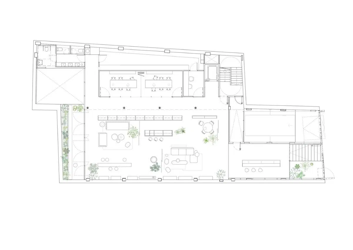 Plano 6