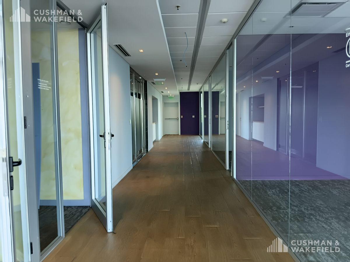 Foto de Oficina en Alquiler | Edificio Proa | 1 Piso de 557 m², imagen 3