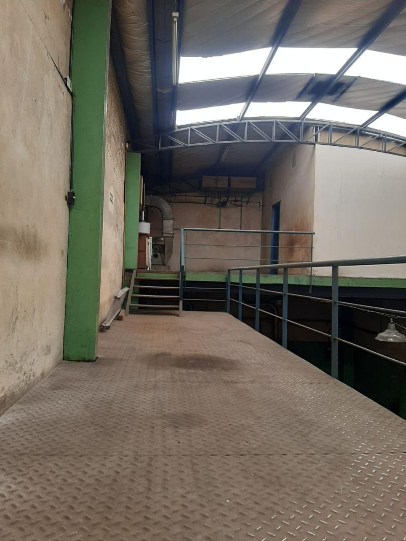 Exc Galpón muy buena conect oficinas, baños vest 255 m2 tot.