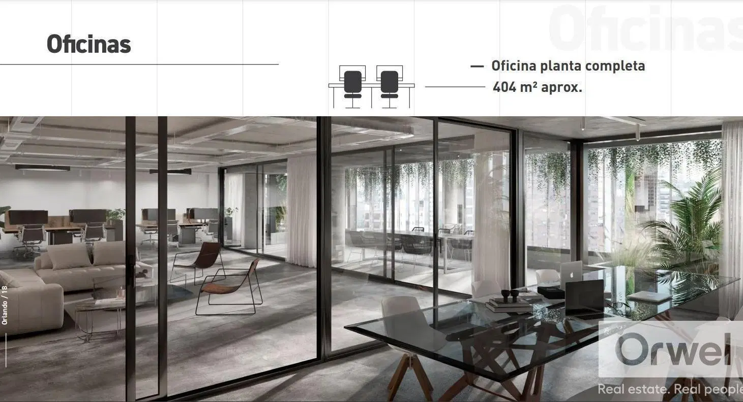 Plano 6