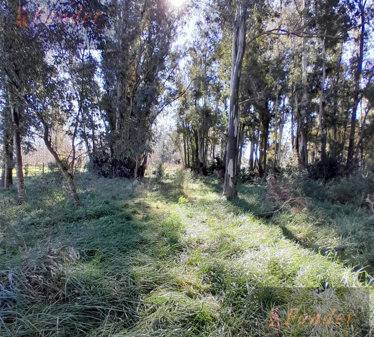 Foto de Terreno 8450m2 - Pardo, imagen 1