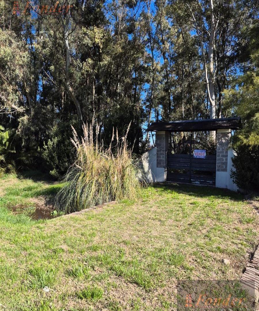 Foto de Terreno 8450m2 - Pardo, imagen 4