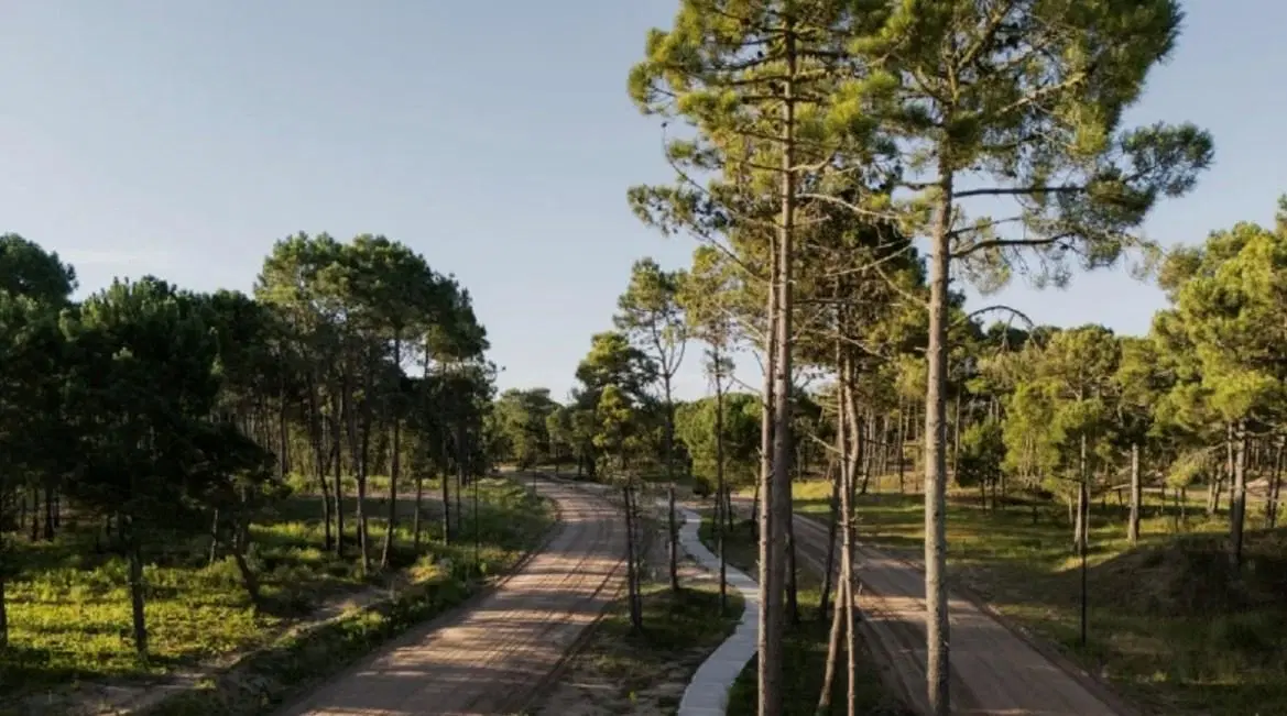 Terreno Lote  en Venta en Pinamar, Costa Atlántica, Buenos Aires 8