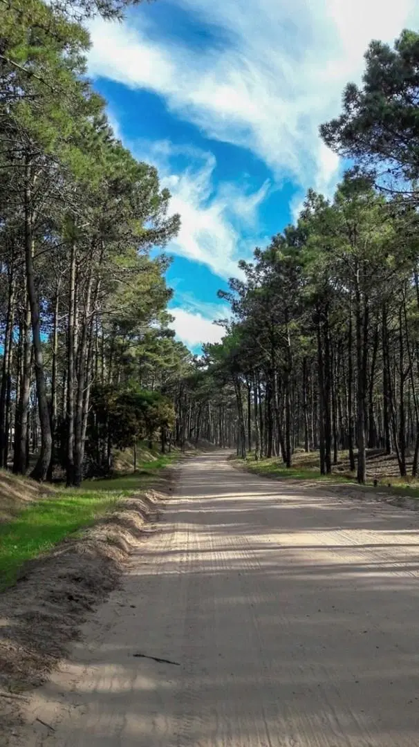 Terreno Lote  en Venta en Pinamar, Costa Atlántica, Buenos Aires 4
