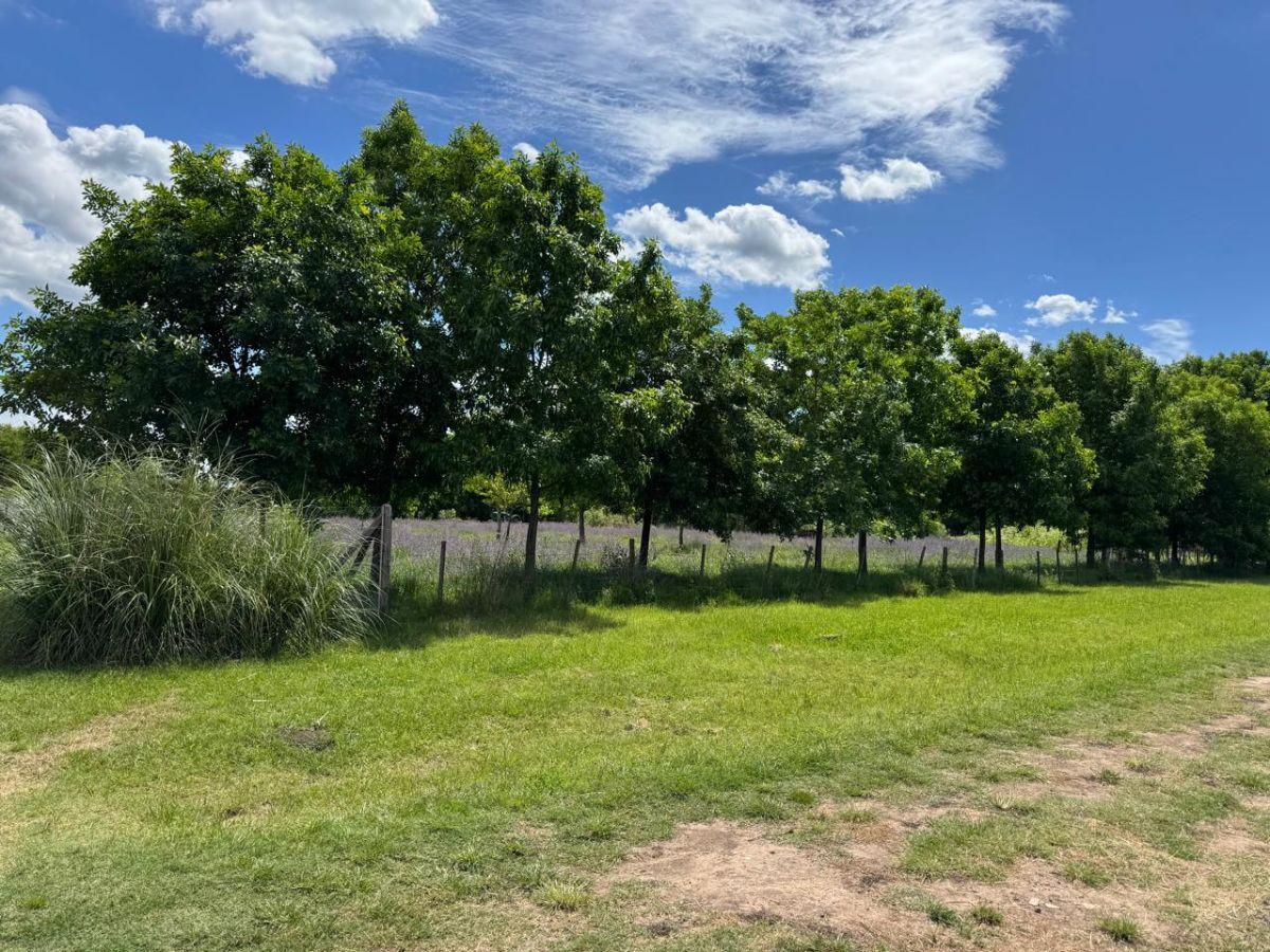 Barrio Abierto - Exclusivos lotes en Venta 2800m2 - MANZANARES - Pilar