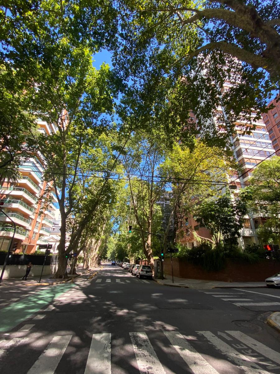 Propiedad en Argentina