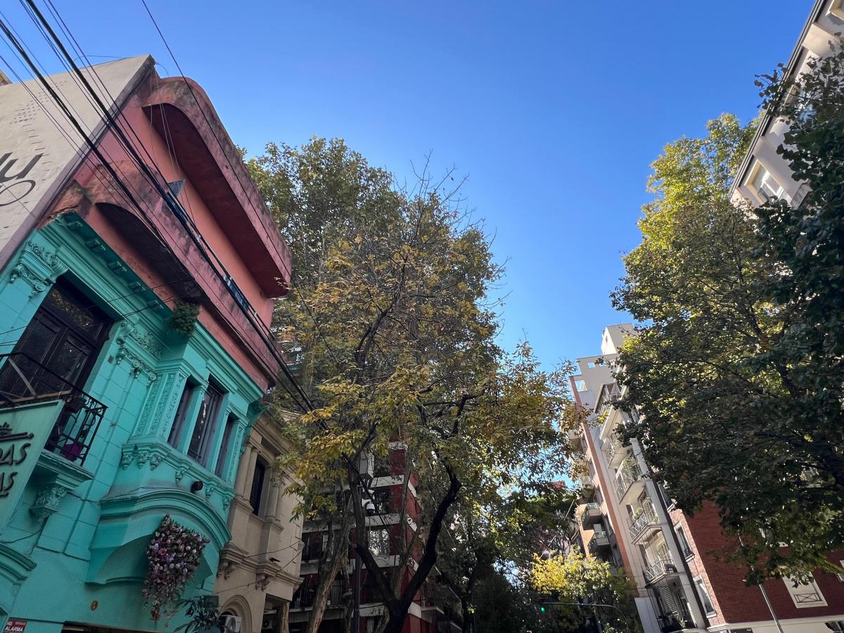 Casa Ideal Para Uso Comercial en Pleno Foco de Belgrano! 2