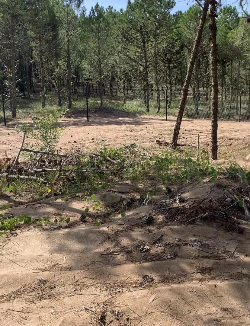 Venta Lote Cul De Sac en Bosques Pinamar 3