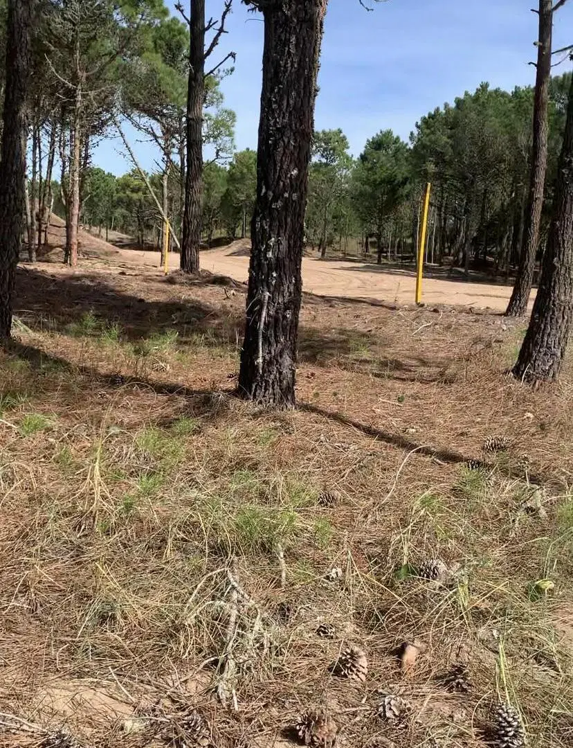 Venta Lote Cul De Sac en Bosques Pinamar 2