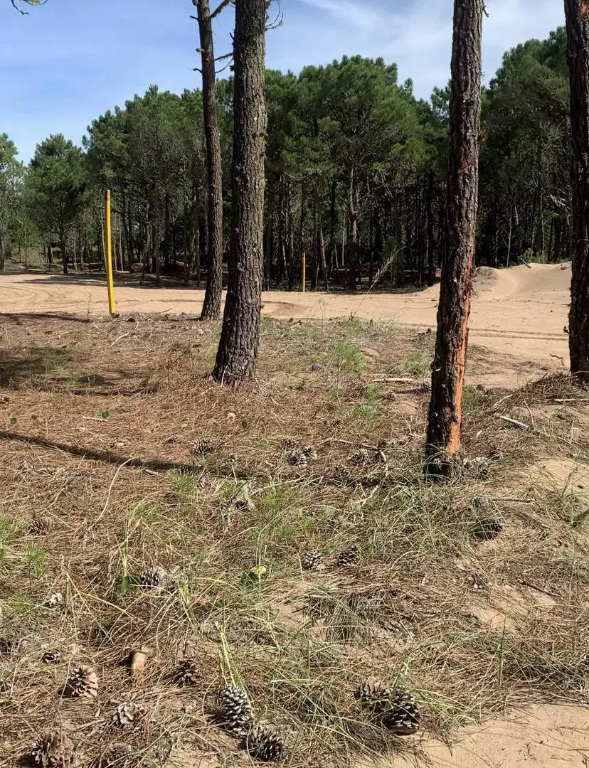 Venta Lote Cul De Sac en Bosques Pinamar 5