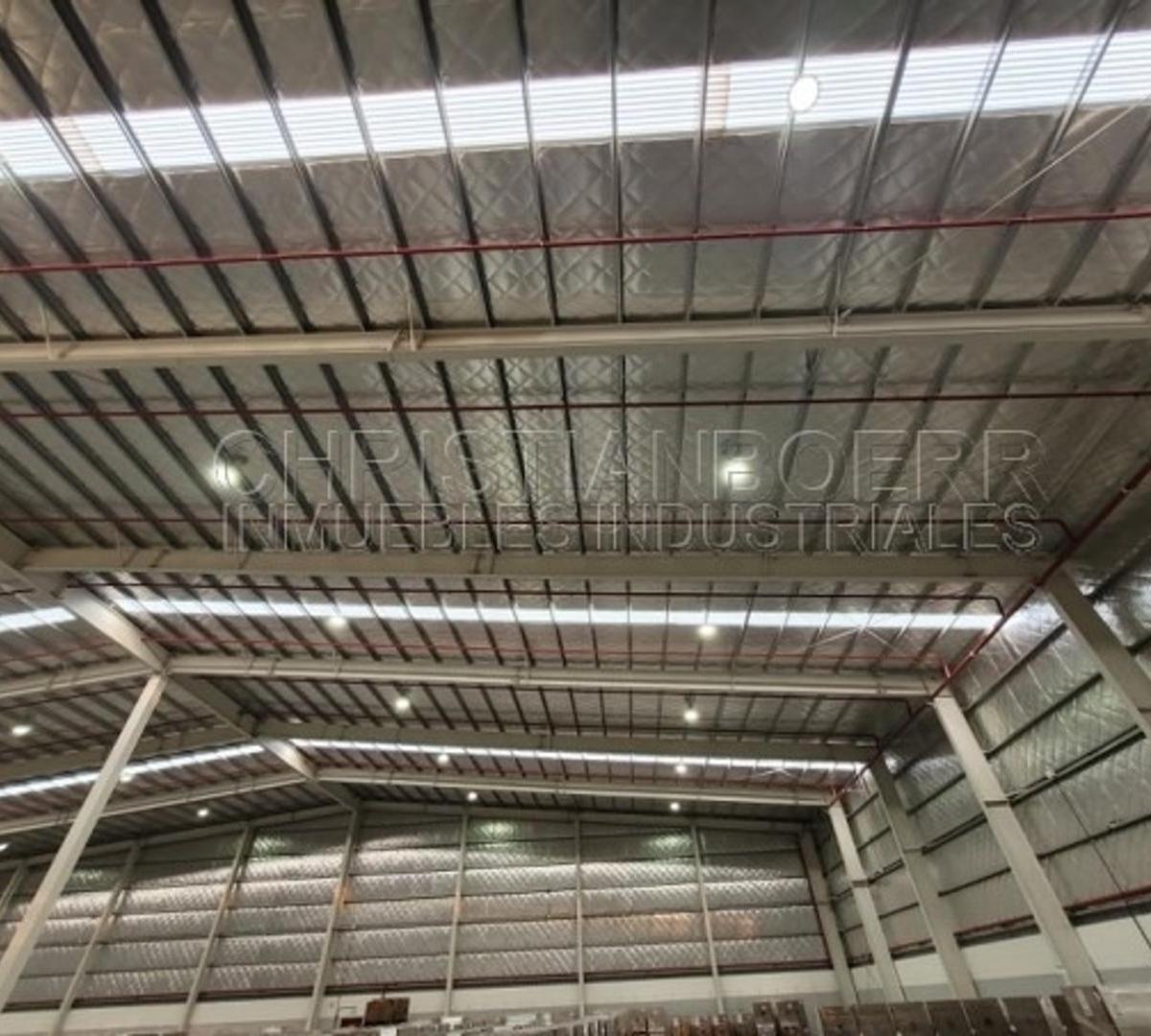 P Ind Pilar - 2500 m a Estrenar. Ideal Logistica - Playa 2