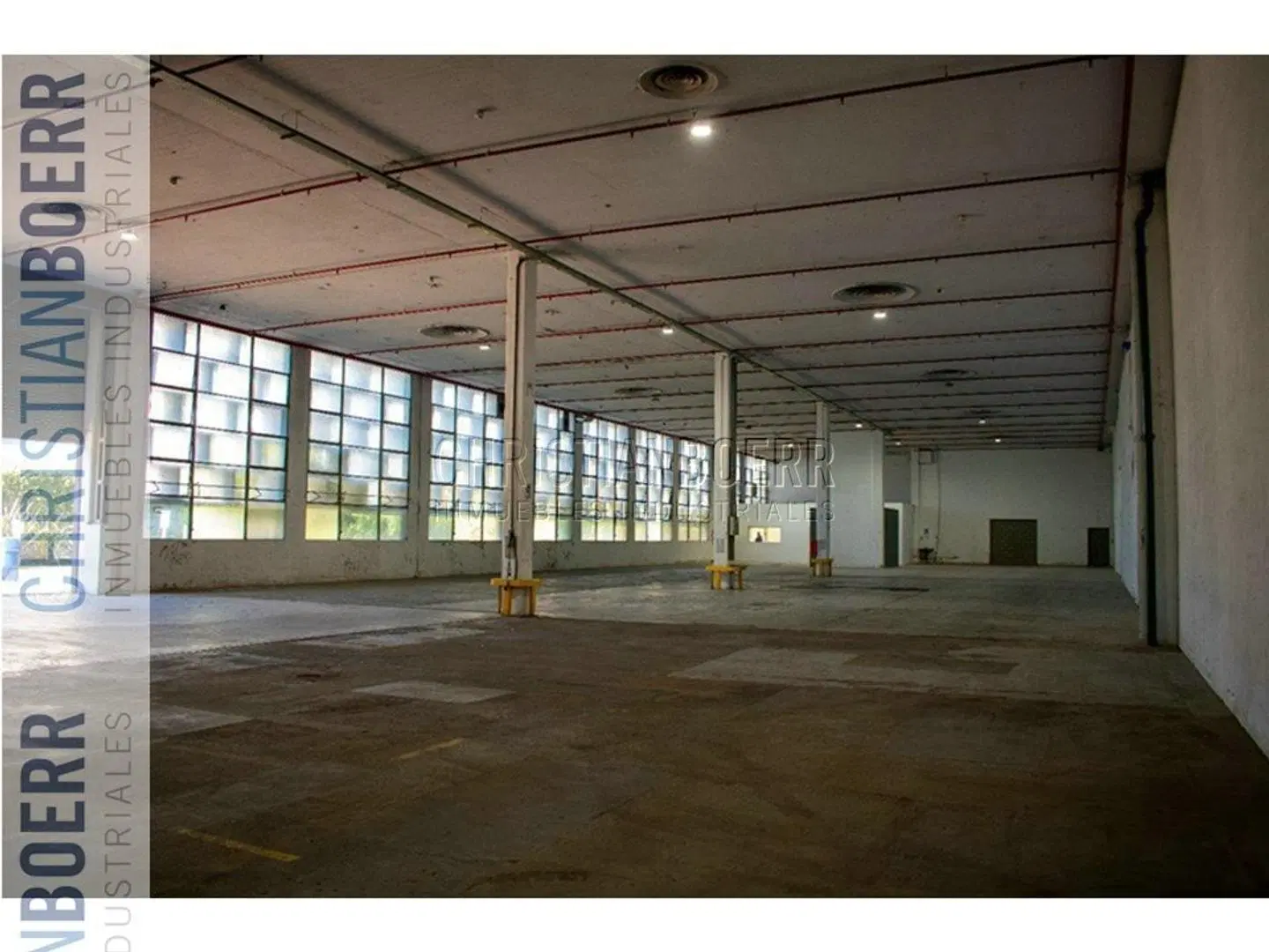 Deposito de 1.150m² + OFICINAS - V. Ballester 3