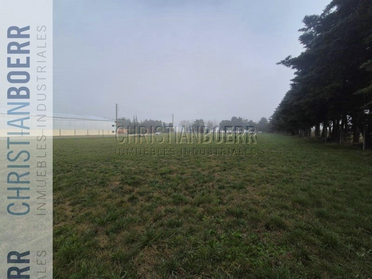 Foto de FRACCION INDUISTRIAL DE 4.925M EN PARQUE INDUSTRIAL ECOLOGIC, imagen 3