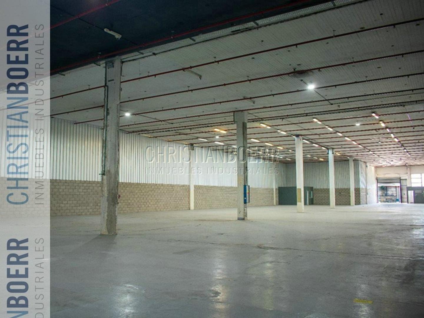 Foto de Deposito de 1.345m² + OFICINAS - V. Ballester, imagen 5