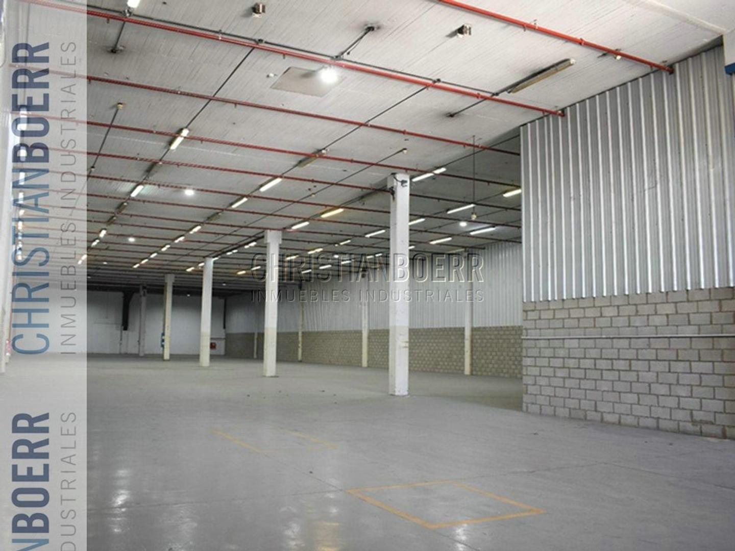 Foto de Deposito de 1.345m² + OFICINAS - V. Ballester, imagen 3