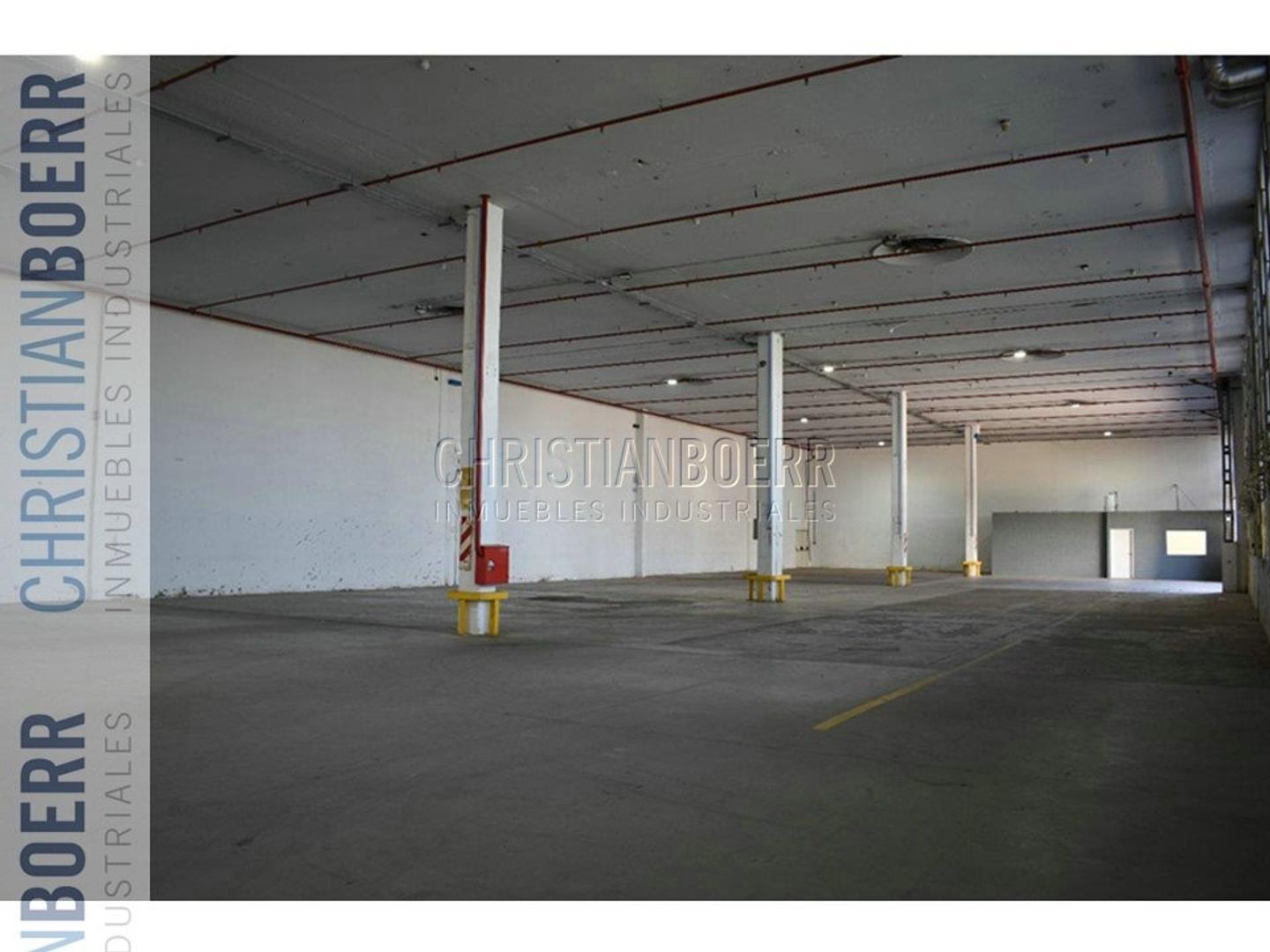Foto de Deposito de 1.508 + OFICINAS - V. Ballester, imagen 5
