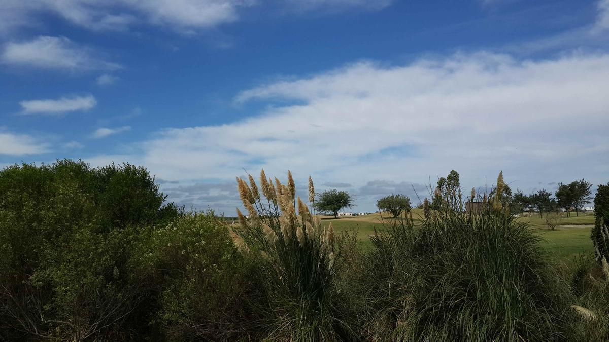 Foto de Terreno de 820 m2 en Country El Canton - Escobar, imagen 5