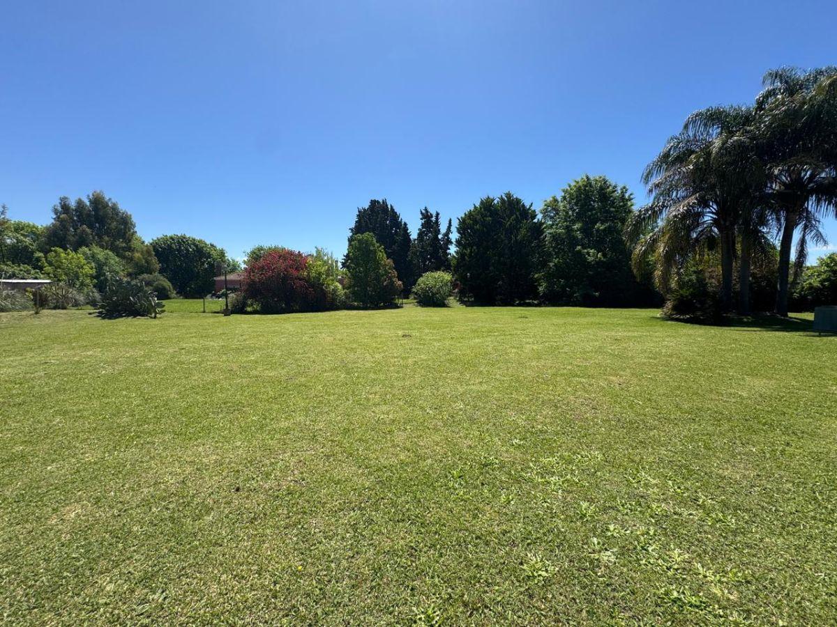 Foto de EXCELENTE PROPIEDAD SOBRE ESPECTACULAR LOTE PARQUIZADO PERMUTA FINANCIA, imagen 4
