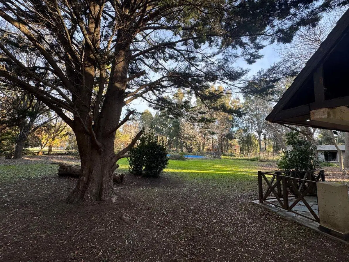 CABAÑA EN EL BOSQUE CON PISCINA GRAN LOTE 8