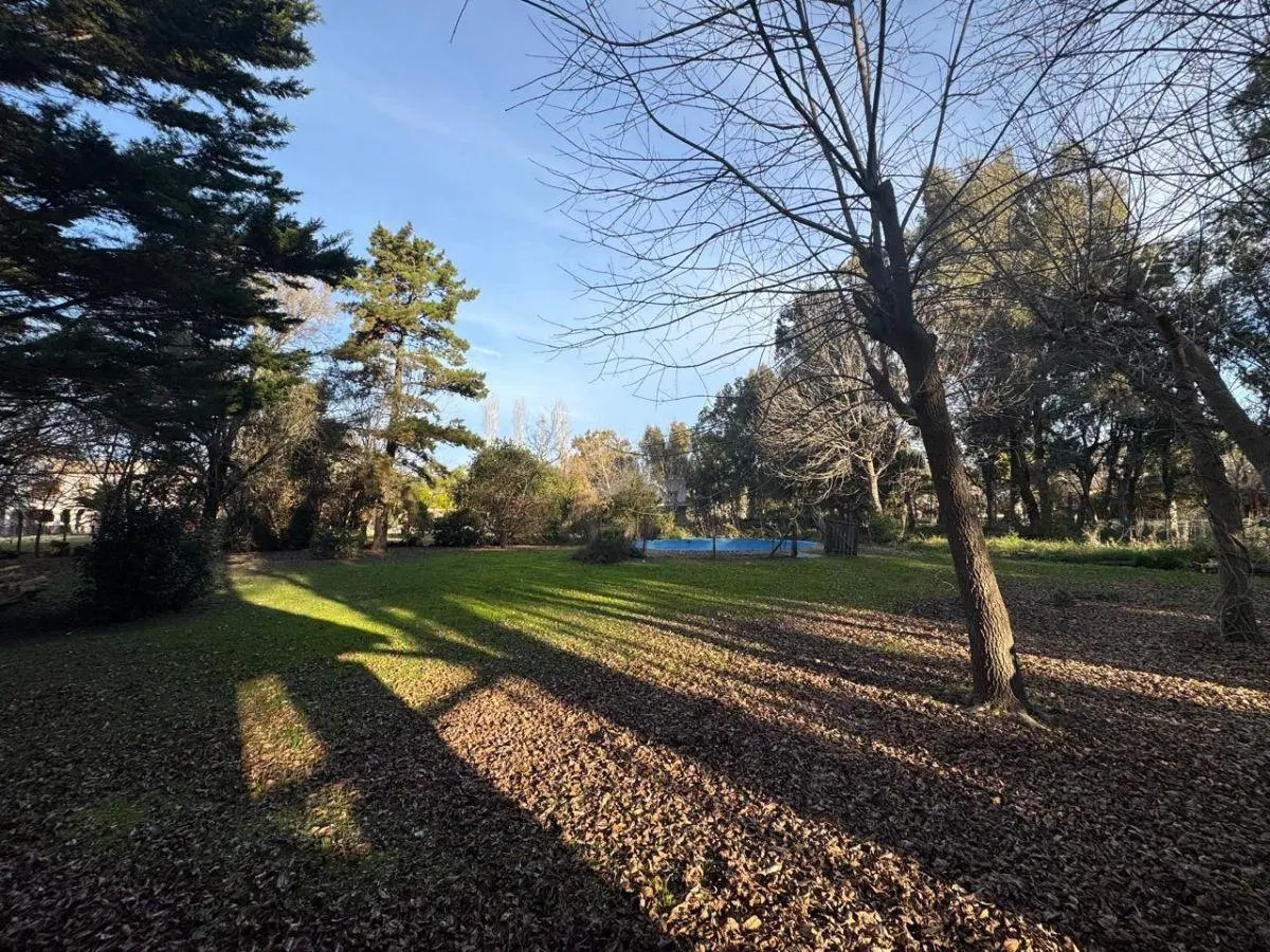 CABAÑA EN EL BOSQUE CON PISCINA GRAN LOTE 2