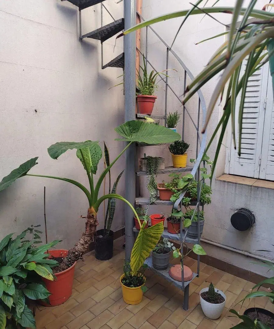 FLORESTA HERMOSO PH 4 AMBIENTES PTIO TZA 2 BAÑOS PTA BJA FTE EN MUY BUEN ESTADO COCINA 1130733154 2