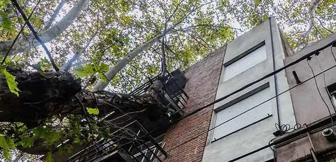 SUIPACHA AL 900 ALQUILER DEPARTAMENTO 1 DORMITORIO EN ROSARIO BARRIO LOURDES 3