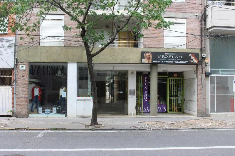 SANTA FE AL 2700 ALQUILER DEPARTAMENTO DUPLEX 1 DORMITORIO EN ROSARIO BARRIO PICHINCHA 1