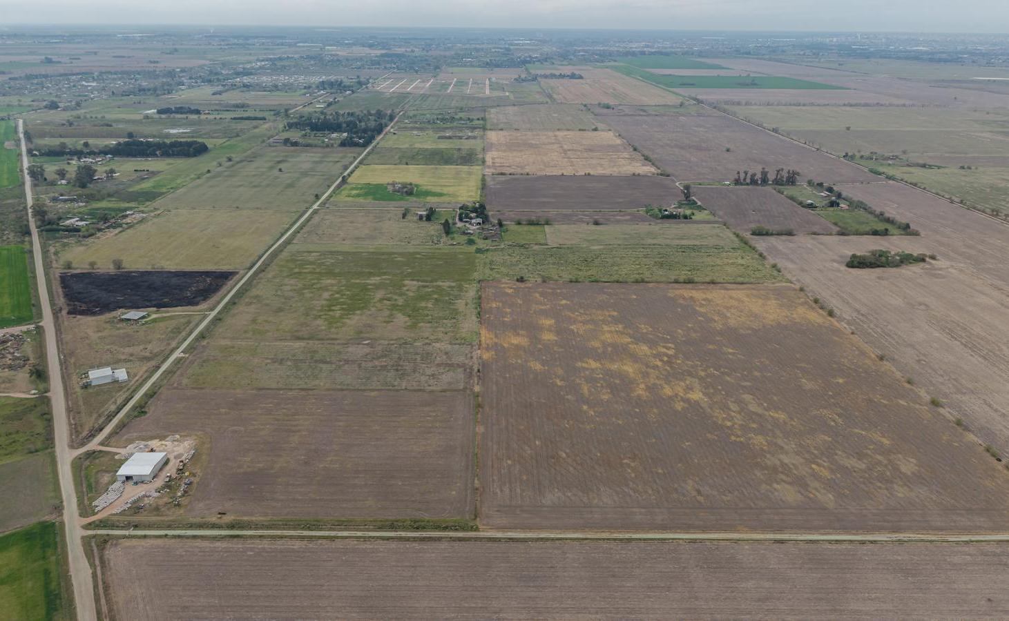 Foto de VENTA DE TERRENO DE 15 Has EN IBARLUCEA, imagen 5