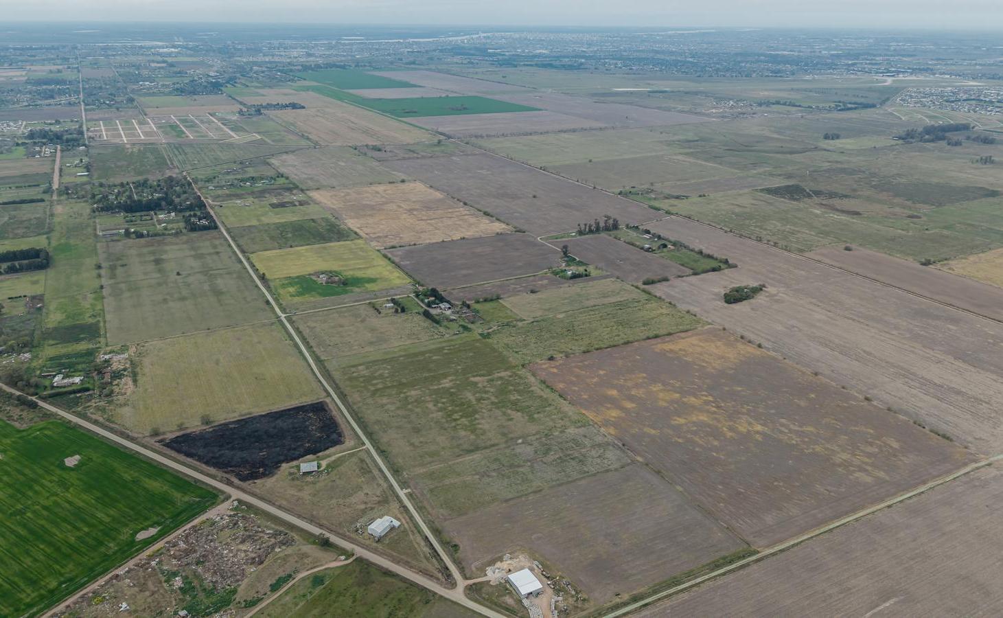 Foto de VENTA DE TERRENO DE 15 Has EN IBARLUCEA, imagen 3