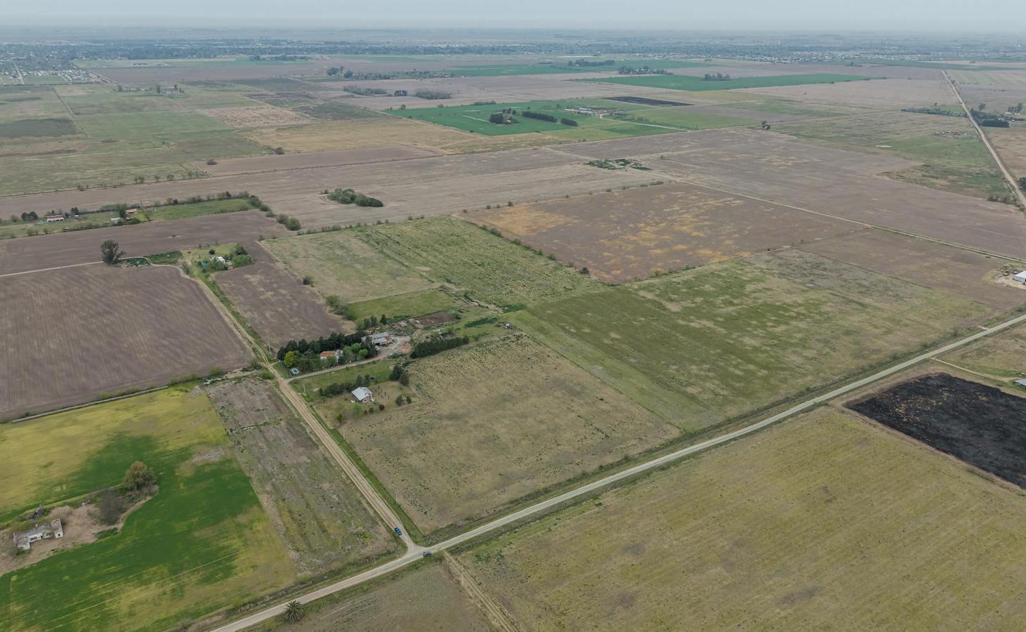 Foto de VENTA DE TERRENO DE 15 Has EN IBARLUCEA, imagen 1