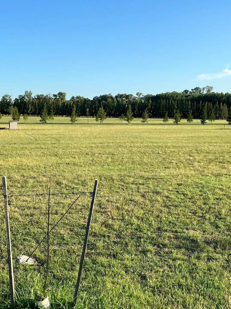 Terreno en Venta 4