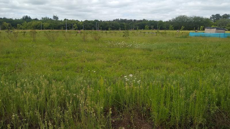 Las Tinajas: Naturaleza y confort a 3 min. de Luján - lotes de 900 m2