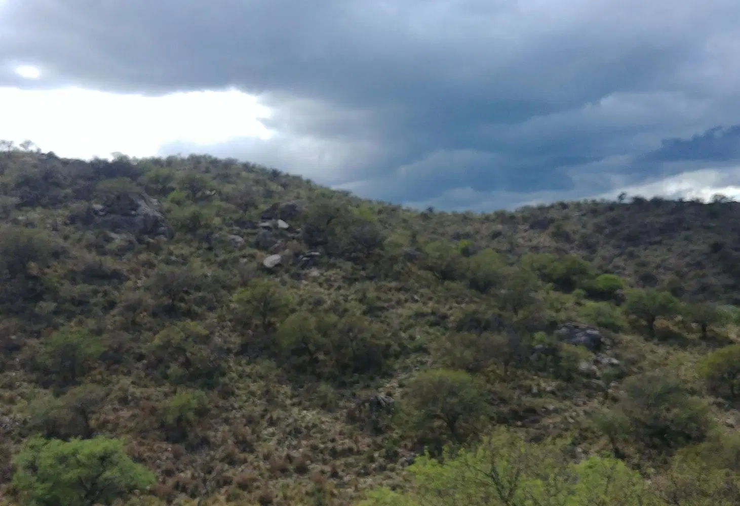 S. FRANCISCO DEL MONTE DE ORO 43 has permuto 5