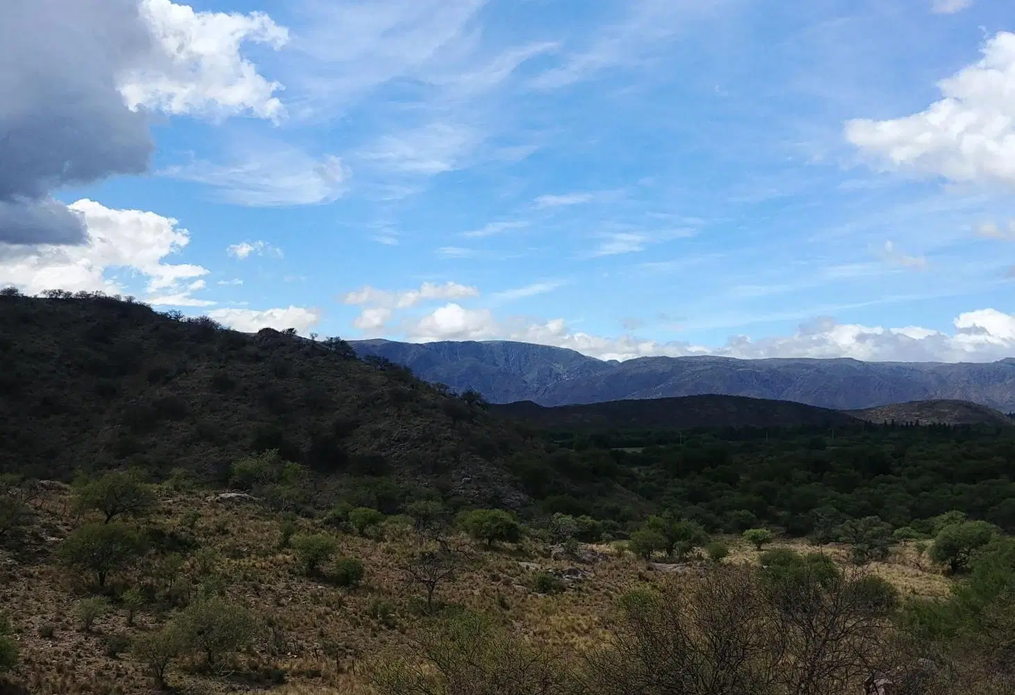 SAN FRANCISCO DEL MONTE DE ORO 5
