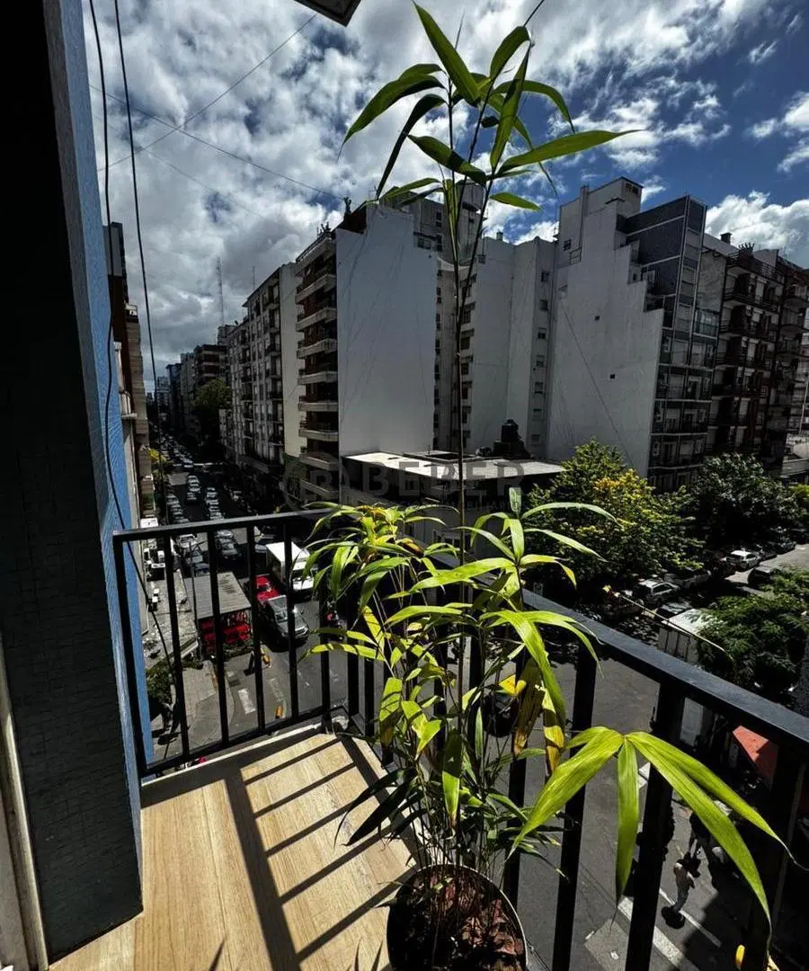 Alquiler 24 meses departamento 2 ambientes con balcon, reciclado Plaza Colon, Mar del Plata 3