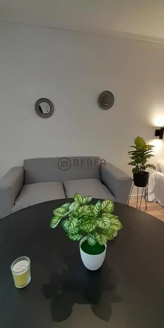 Venta Departamento 1 ambiente, zona Plaza Colón, Mar del Plata. 4