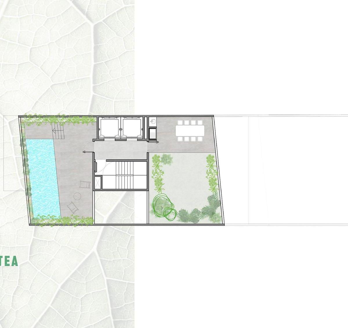 Plano 6