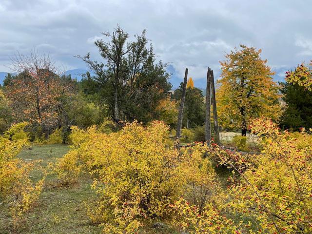 Las Golondrinas - Chubut 3