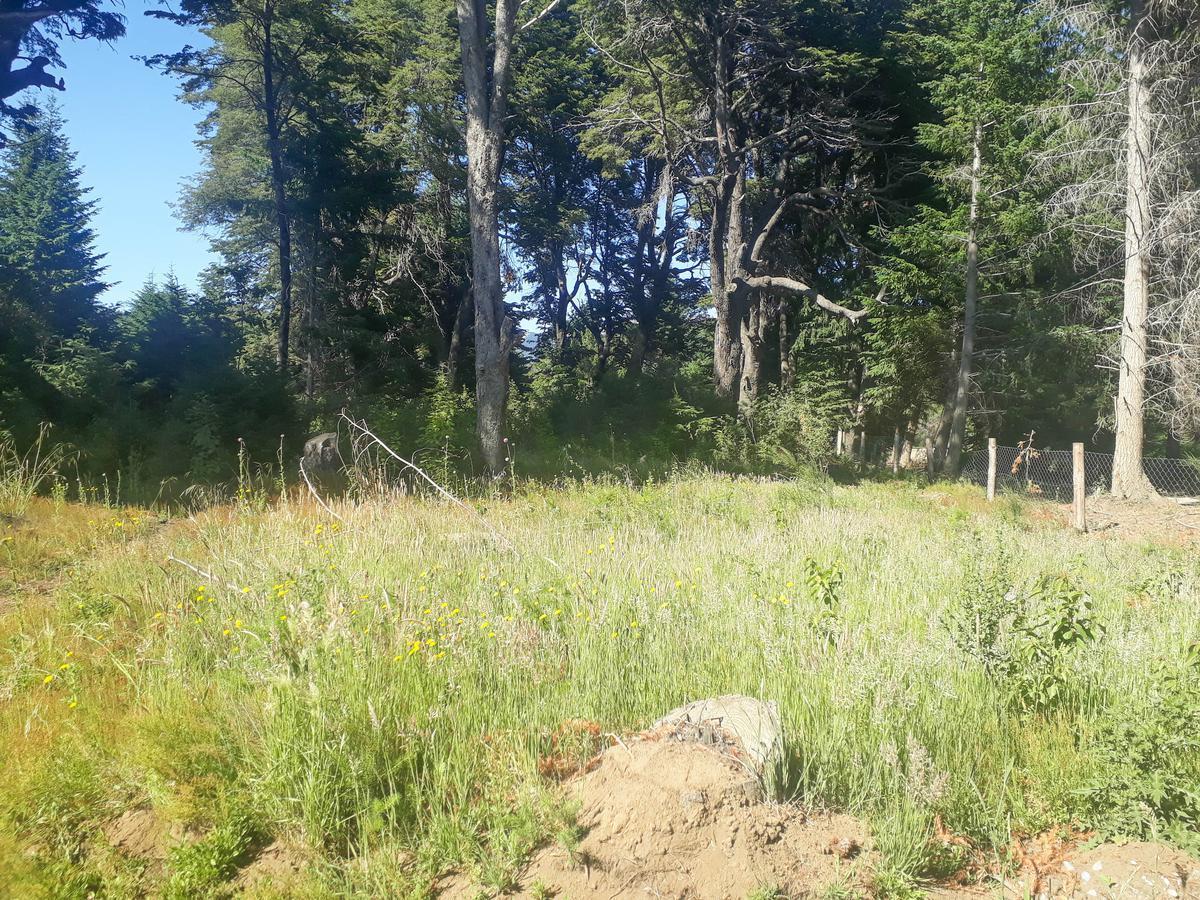 Lote Apto Emprendimiento Turístico, Sobre V. Bustillo Km 21 - Bariloche 5